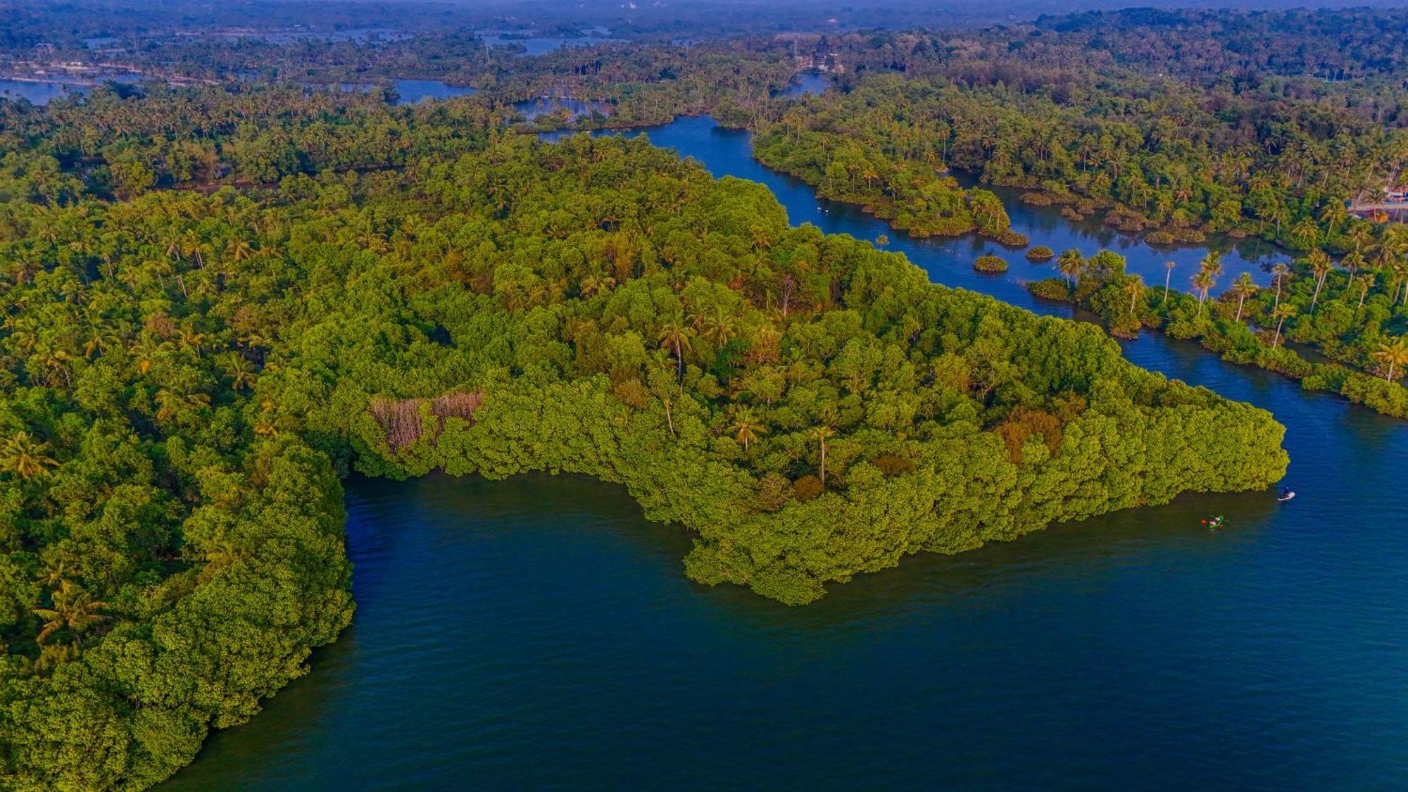 Fragrant Nature Backwater Resort & Ayurveda Spa Коллам Экстерьер фото